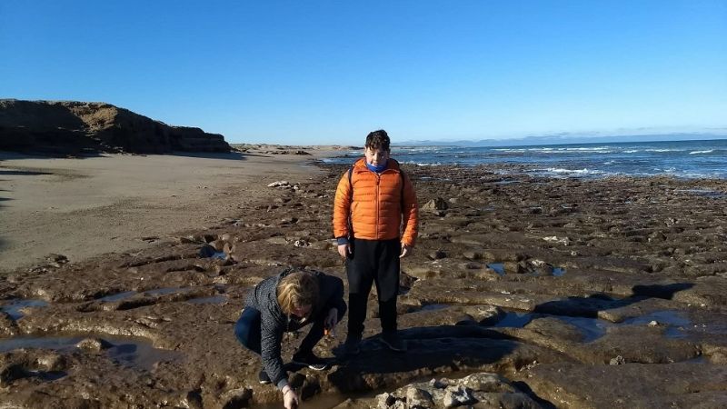 Familia encuentra restos fósiles de un perezoso gigante