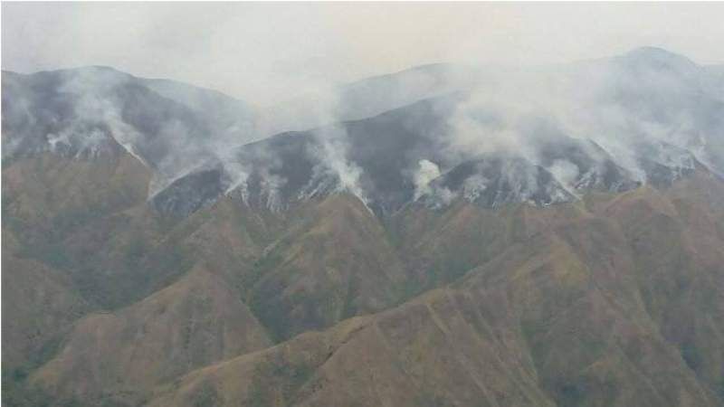 Incendio forestal en el cordón de Los Ángeles