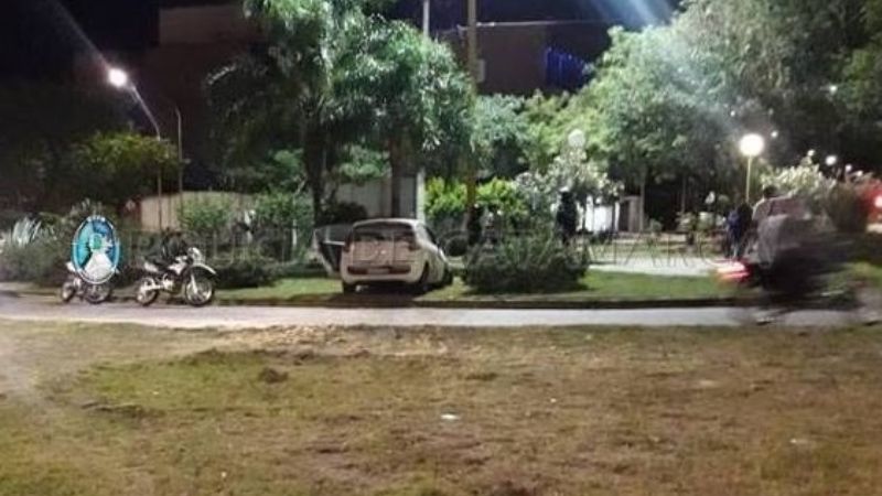 Siguió de largo, atravesó canteros y se subió a la rotonda