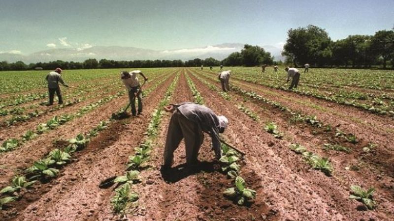 5 mil pesos de bono para los rurales