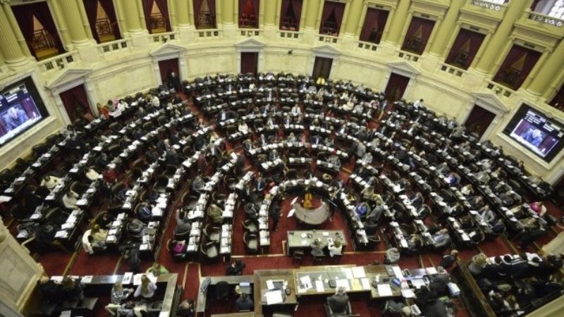 Diputados trata el proyecto sobre barrabravas y la “Ley Micaela”