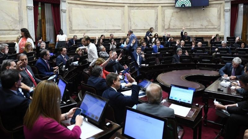 Con la media sanción en Diputados, el Senado trata la "Ley Micaela"