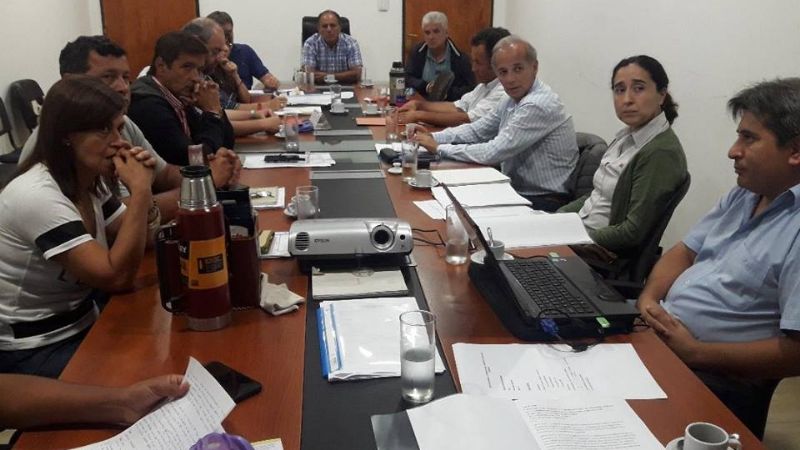 El sector olivícola pide que se declare la emergencia agropecuaria