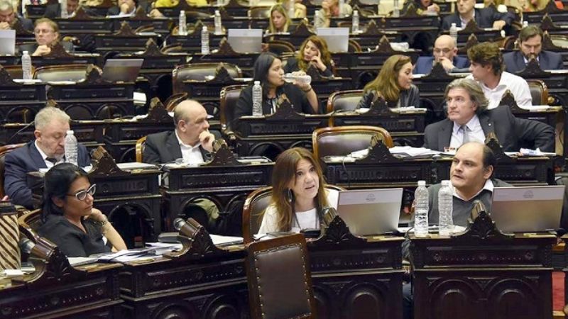 Activa participación de Ginocchio y Saadi en la aprobación de la "Ley Micaela"