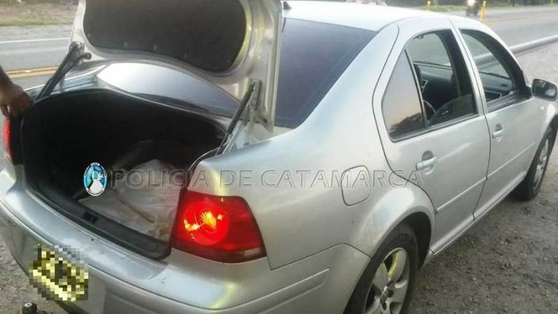 Llevaba 11 lechones faenados