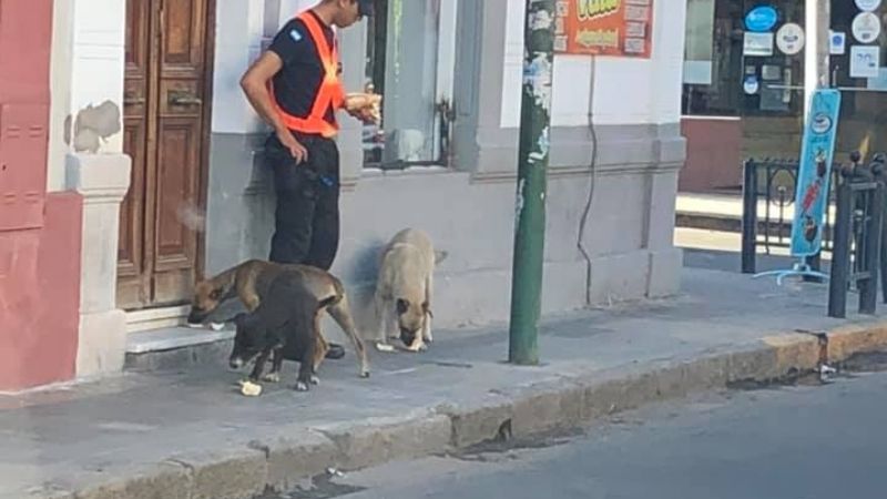 Policía compró sandwiches para perritos de la calle