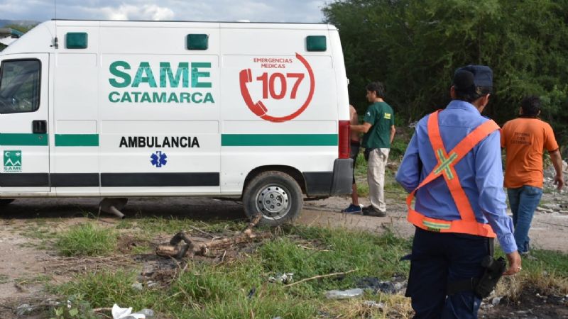 Fueron picados por abejas