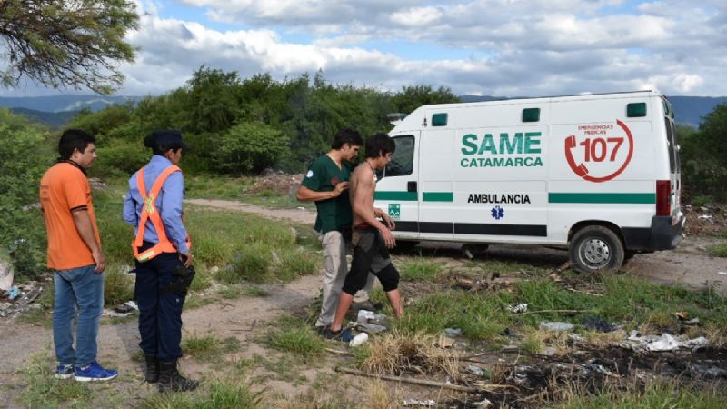 Fueron picados por abejas