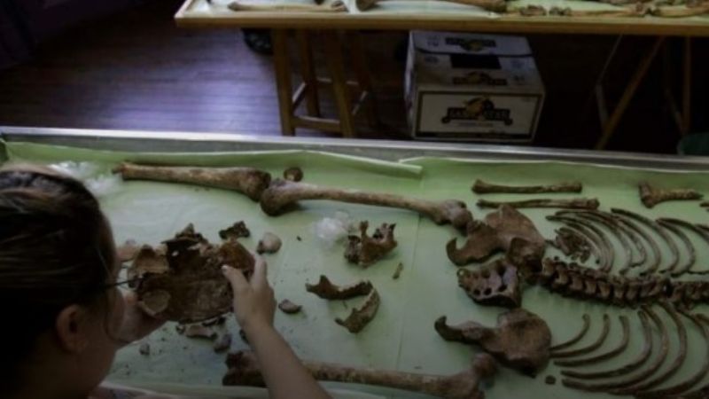 El Equipo Argentino de Antropología Forense suspende sus actividades