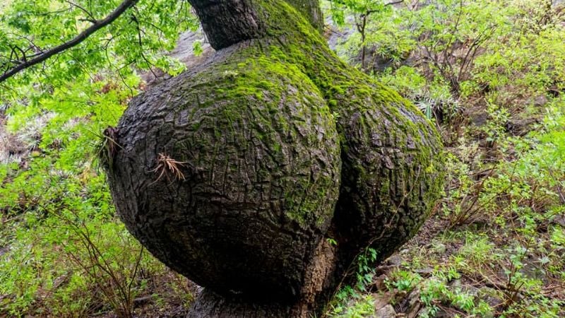 ¿Conocés las Minas de Mica de Pomancillo Oeste?