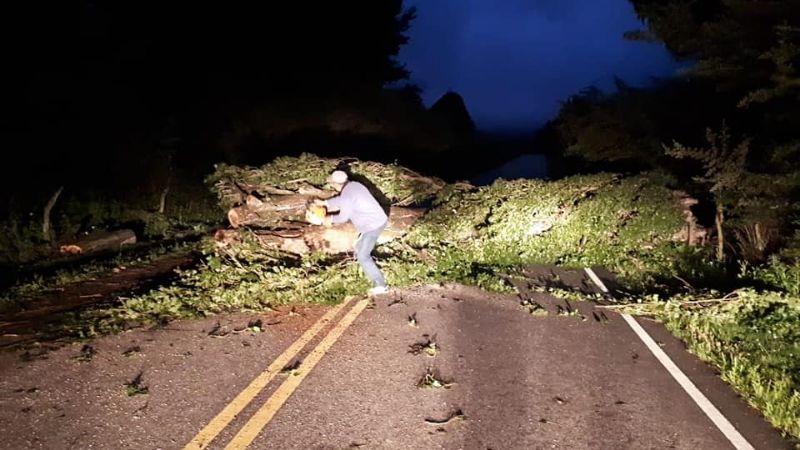 Cayó un álamo en la ruta 48 y la calzada ya fue liberada