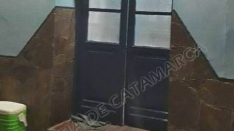 Cuatro aprehendidos y un demorado con 233 truchas y documentación vencida