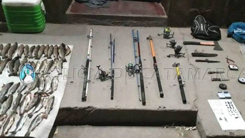 Cuatro aprehendidos y un demorado con 233 truchas y documentación vencida