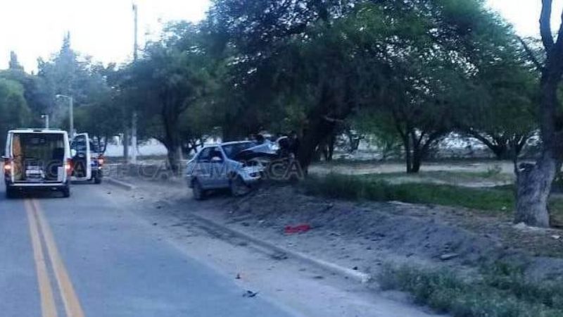 Chocó contra un árbol en Santa María