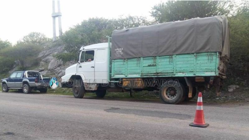 “Operativo Navidad Segura": Secuestraron 205 vehículos