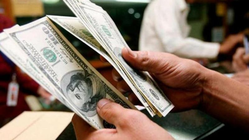 Cerró el año cambiario: el dólar avanzó un 102% sobre el peso argentino