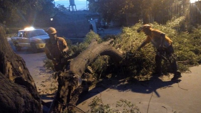 Retiran árbol que obstruía el cauce en el río El Tala
