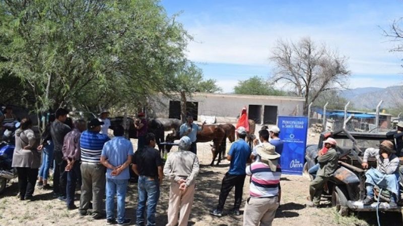 Remataron animales secuestrados en la vía pública