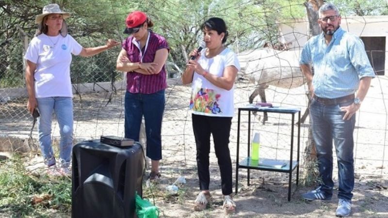 Remataron animales secuestrados en la vía pública