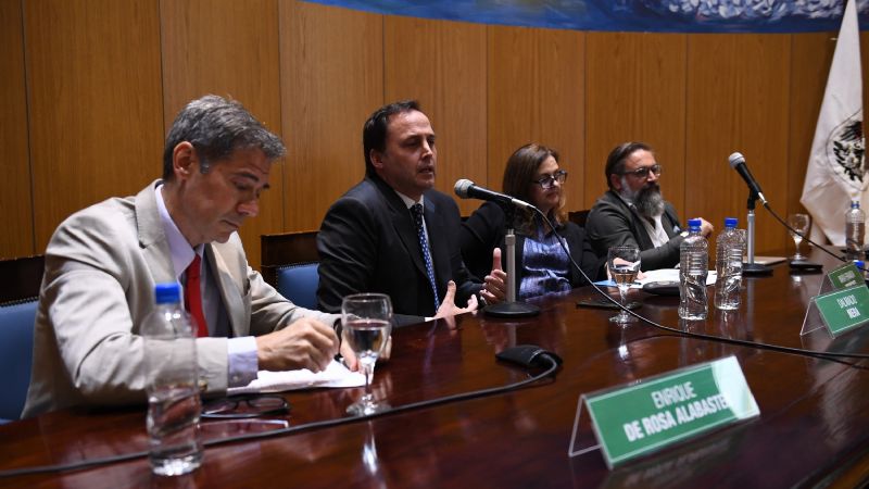 Mera instó a “alcanzar una perspectiva” sobre “ciberdelito”