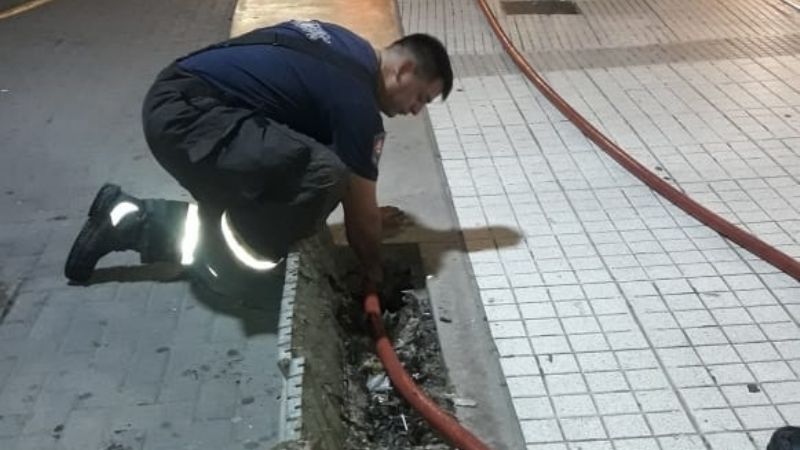 Extenso operativo de limpieza en la Capital