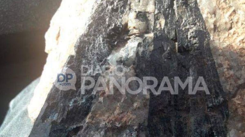 Un peregrino santiagueño encontró una piedra "con la imagen de la Virgen"