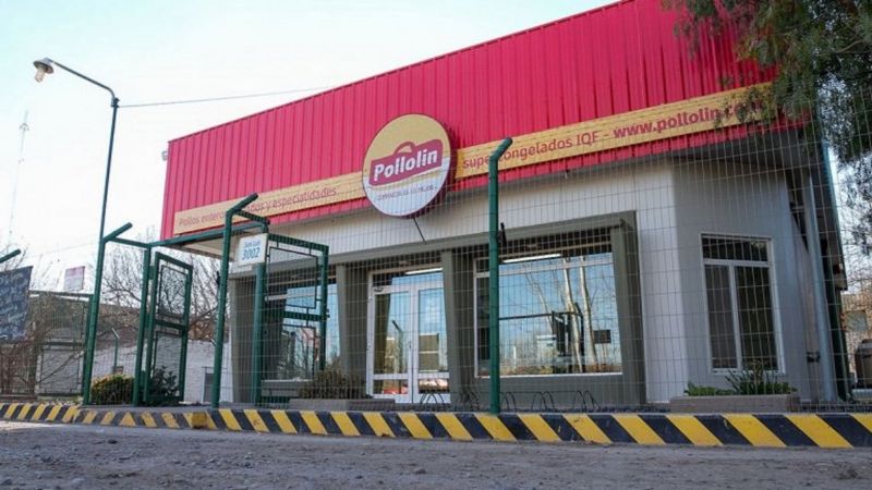 Un pollo lo atacó y deberán indemnizarlo con más de $200 mil