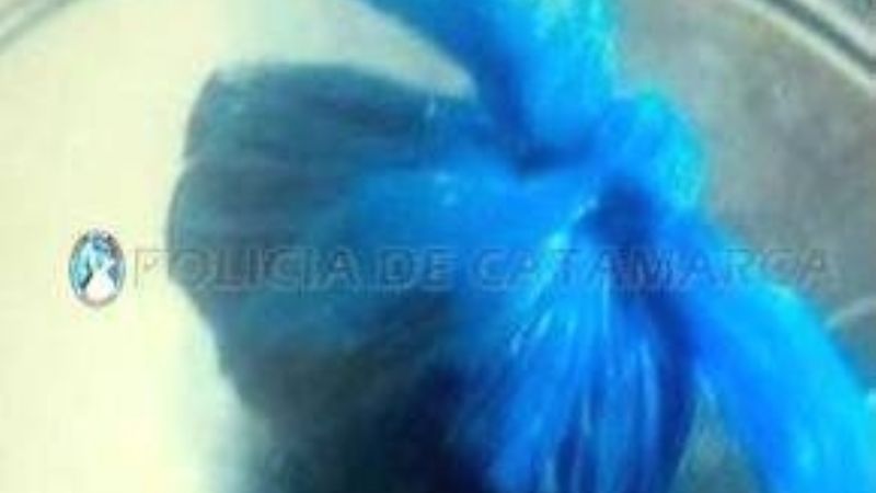 Megaoperativo de control en toda la provincia involucró a 600 policías