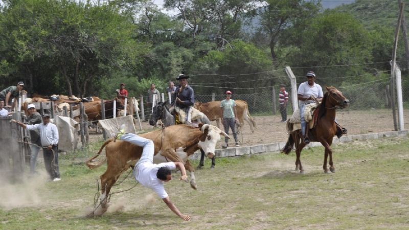 Más de 6000 personas disfrutaron del "Rodeo Grande"
