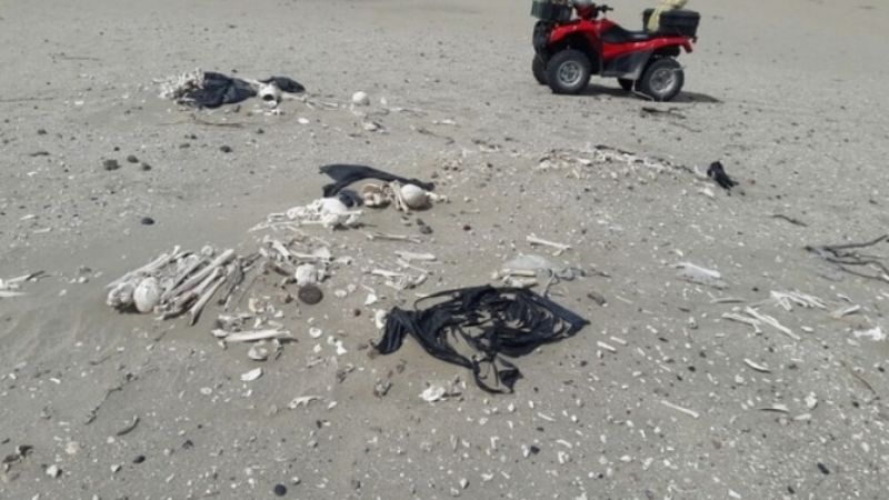 Revelaron origen de los huesos humanos encontrados en Península Valdés