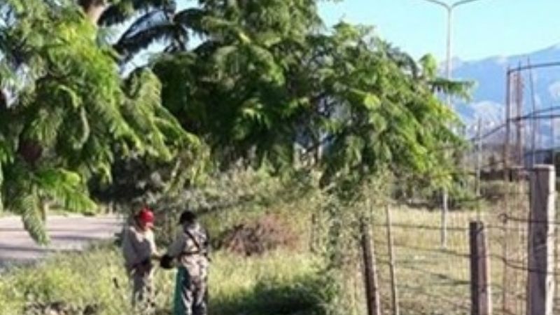 Limpieza en el hospital “Dr. José Chaín Herrera”