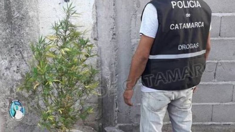 Desbaratan otro kiosko de venta de drogas en la Capital