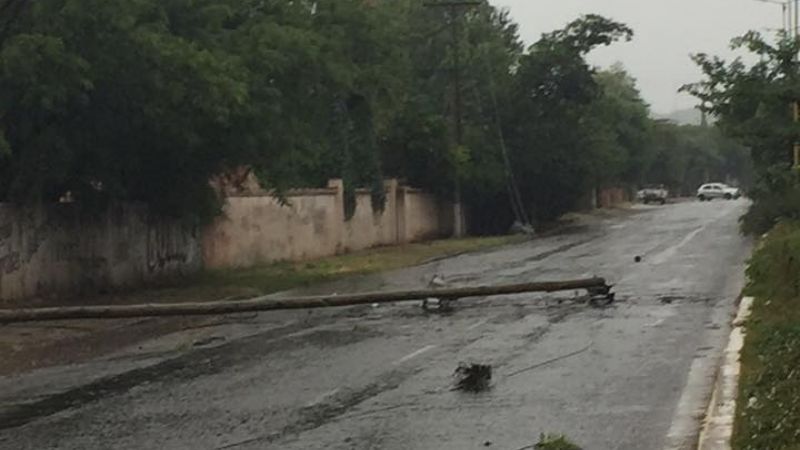 Restablecen el servicio de energía por caídas de árboles y postes
