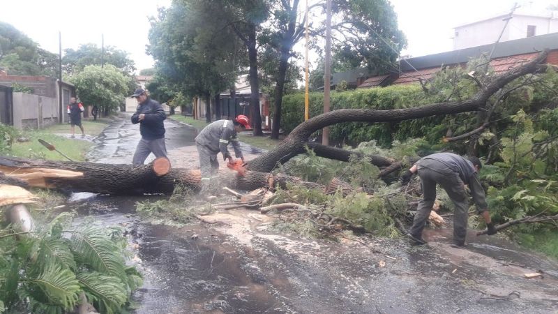 Trabajos tras el temporal y apertura del Palacio Municipal