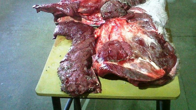 Transportaban 250 kilos de carne que fue decomisada