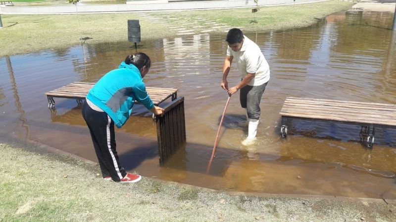 Limpieza y normalización de la Alameda