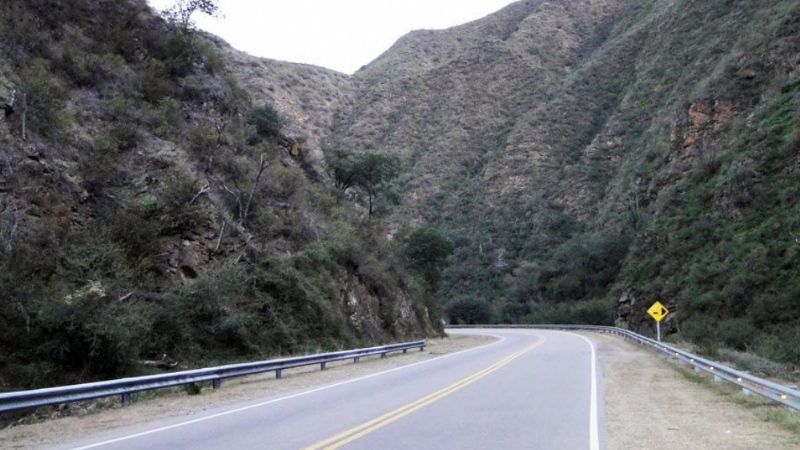 Chocó con un animal en la Cébila
