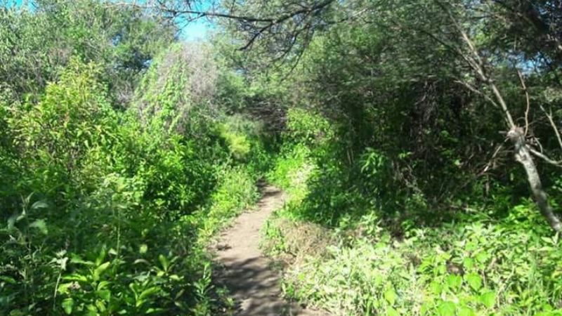 Competencia de Enduro en Icaño