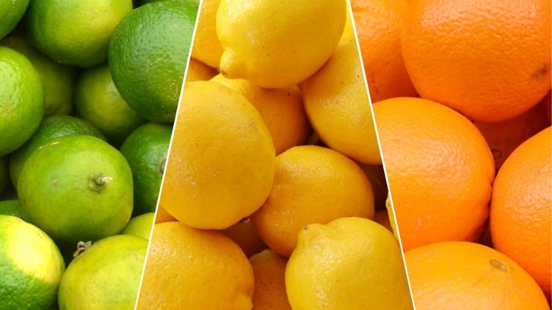 Proyectan aumentar 25% las exportaciones de cítricos