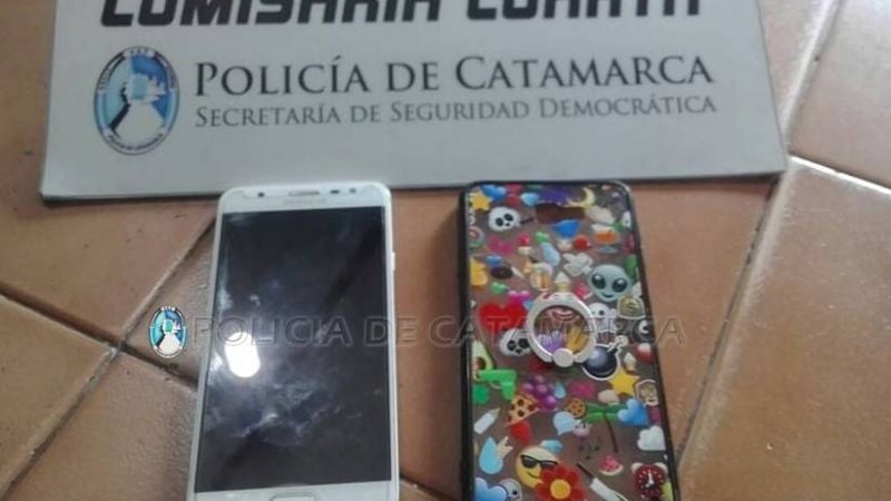 Aprehendieron a una joven por el robo de un celular y agredió a un sargento