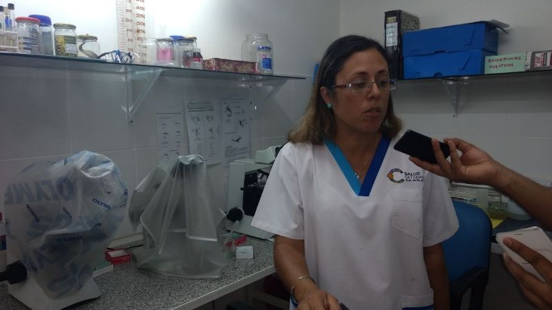 Continúan trabajando en prevención de dengue