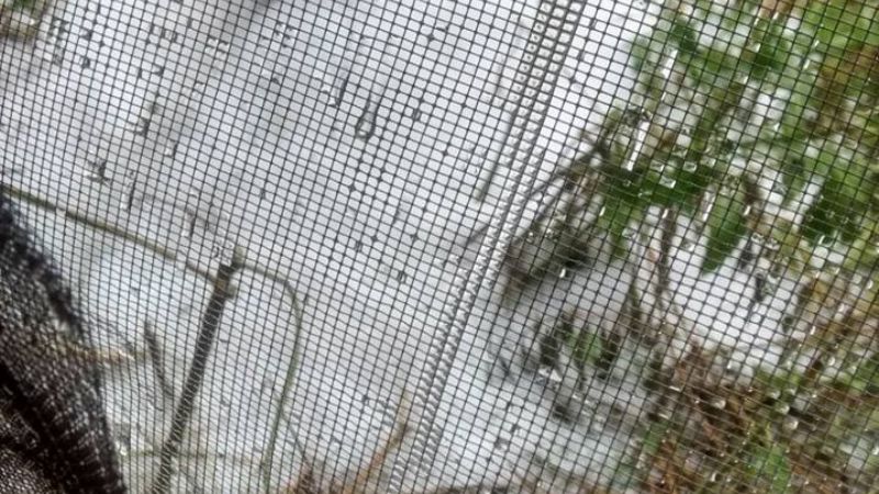 Importante caída de granizo en San José