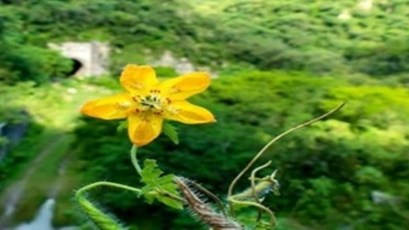 El clima en Andalgalá