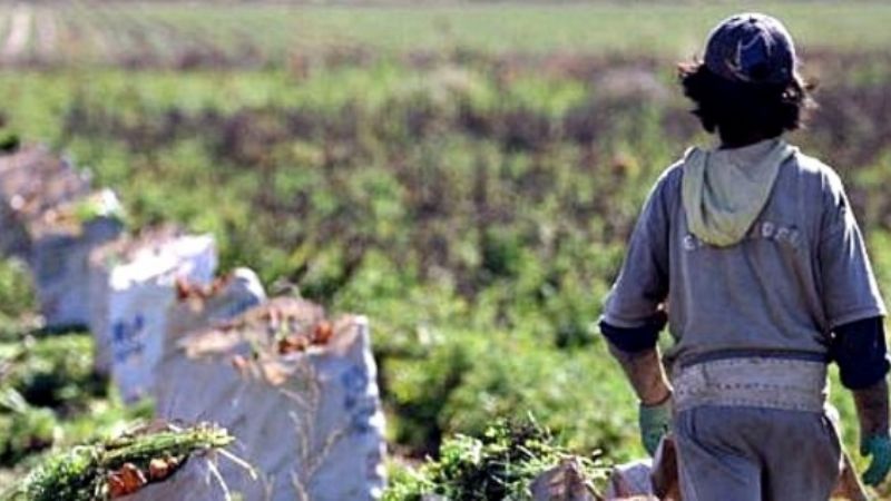 En el norte se registran los salarios rurales más bajos del país