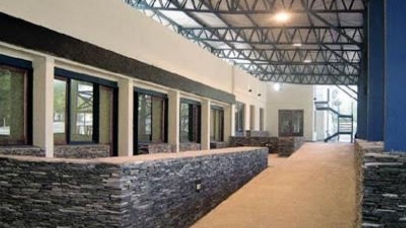 “Pájaro bobo” tendría un cómplice