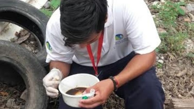 Más de 800 mil kilos de chatarra por la campaña "Mosquito Cero"