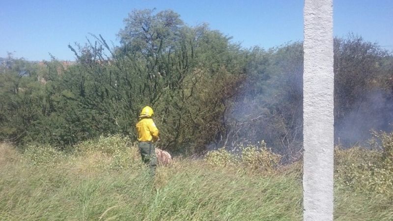 Combaten incendio de pastizales