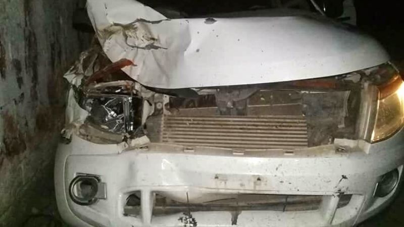 Ex concejal protagonizó un fuerte choque con un animal en la ruta 20