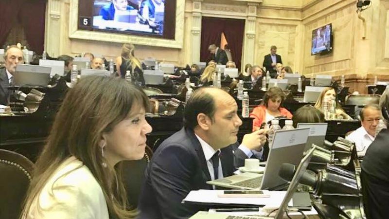 Peña: "El acuerdo Mercosur-Unión Europea no incluye a la aceituna ni al aceite de oliva"