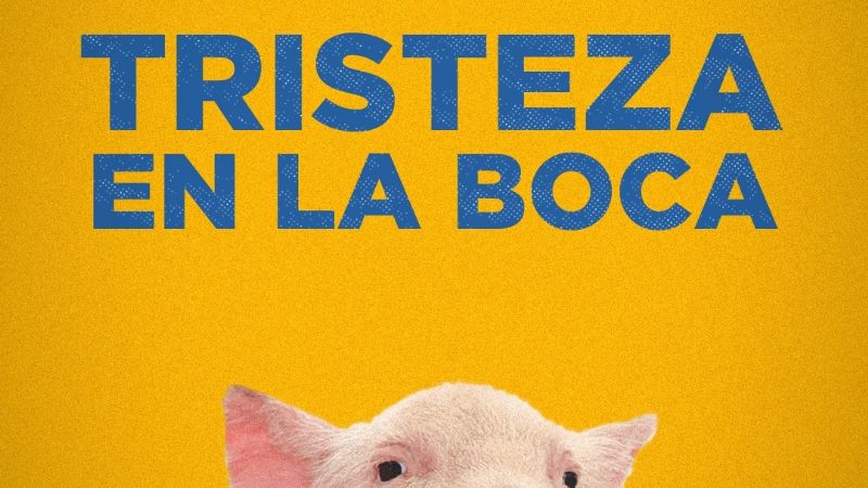 Las cargadas “millonarias” estallaron en las redes sociales